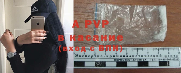 шишки Нея
