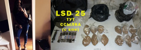 крисы Нефтекумск