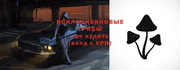 бошки Нефтегорск