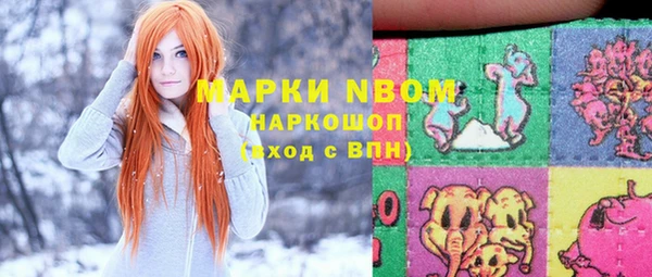 шишки Нея